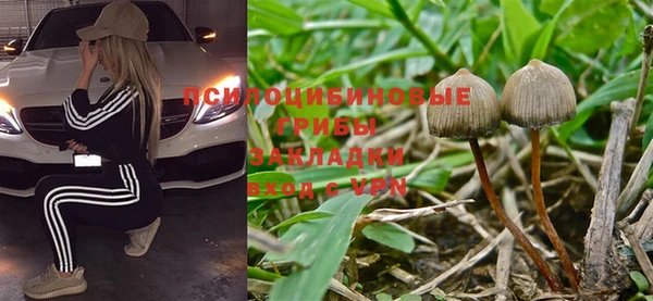 ALPHA PVP Коряжма