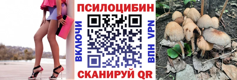 Псилоцибиновые грибы Psilocybe  Похвистнево 