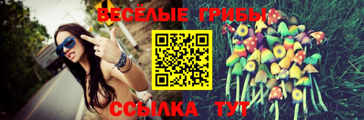 Похвистнево  что такое   Вход с VPN  Псилоцибиновые грибы Psilocybine cubensis 