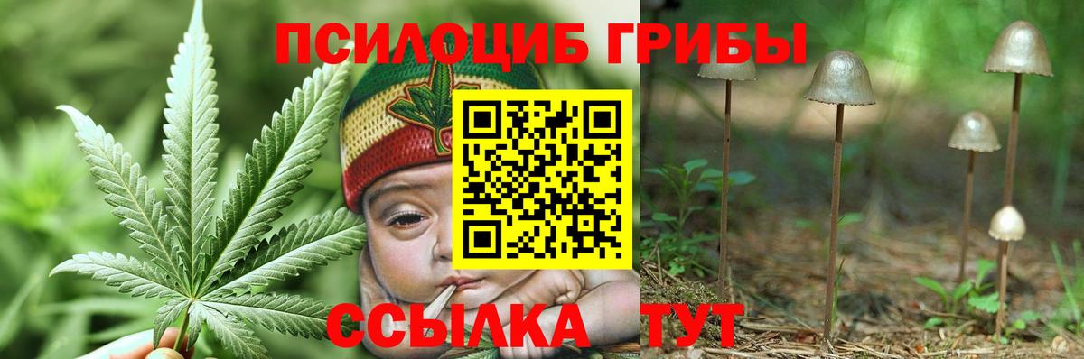 Псилоцибиновые грибы GOLDEN TEACHER Похвистнево